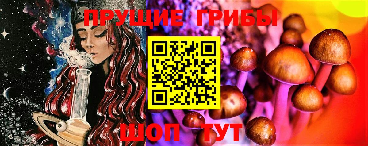 Тула  Псилоцибиновые грибы ЛСД  Псилоцибиновые грибы Magic Shrooms  Вход с VPN 
